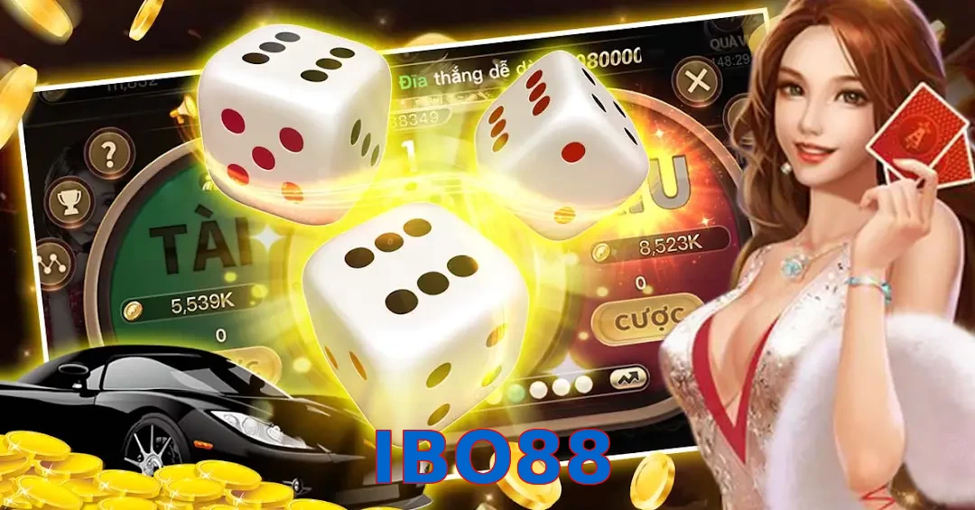 IBO88